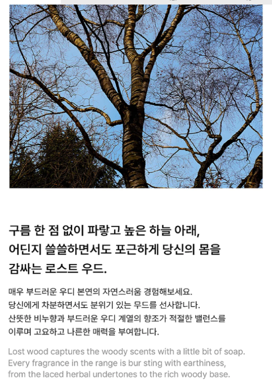 BOYNEXTDOOR Jae-hyun's Pick - Bibiang Lostwood Eau de Parfum EDP 50ml