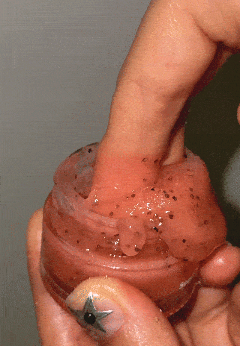 Nuse Seed Care Lip Scrub with Gift Lip Scrub Brush