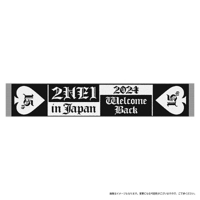 2NE1 JAPAN - 'WELCOME BACK' OFFICIAL MERCH MD