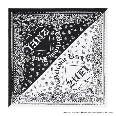2NE1 JAPAN - 'WELCOME BACK' OFFICIAL MERCH MD