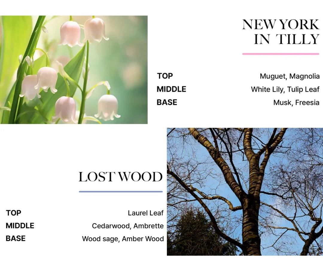 BiBiAng Perfume Hair Serum Mist