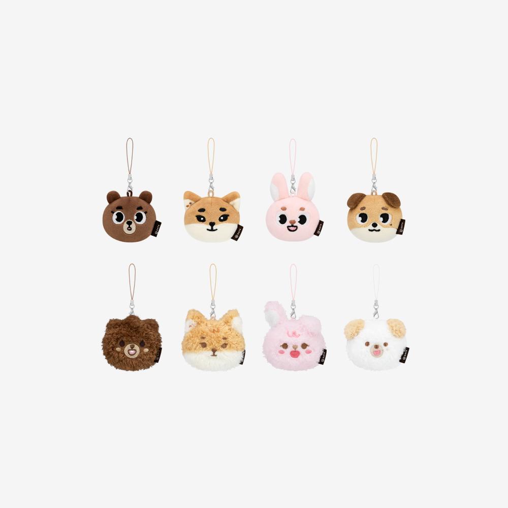 DAY6 <FOREVER YOUNG> FINALE in SEOUL OFFICIAL MERCH