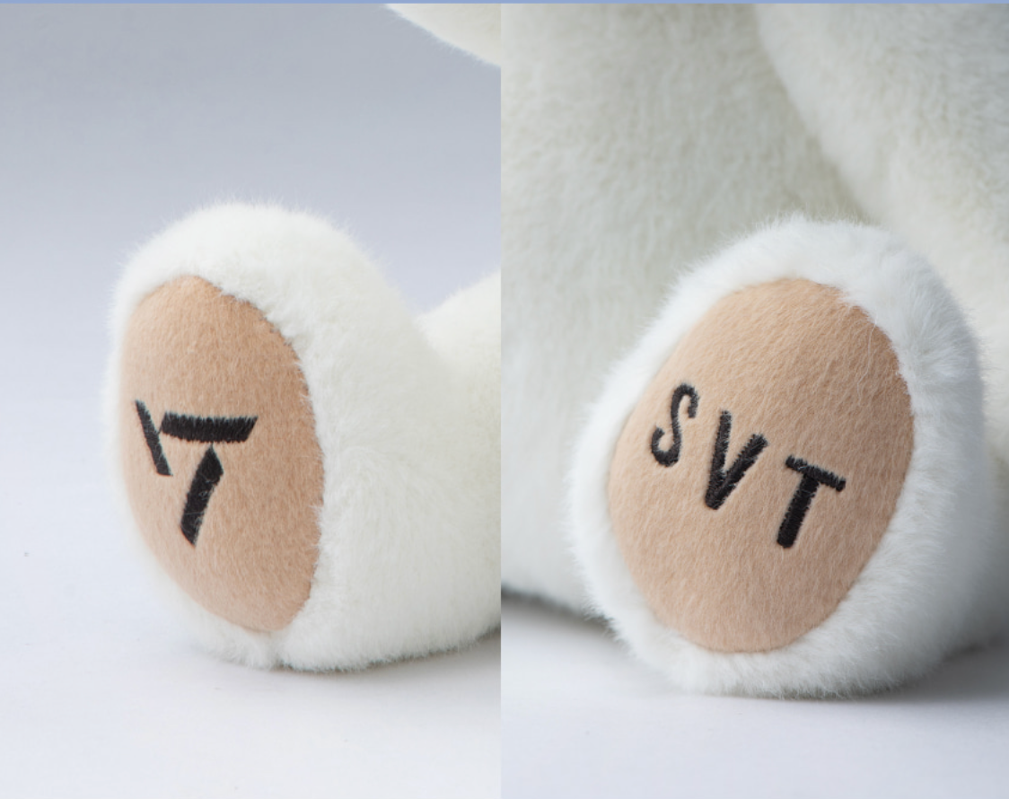 SEVENTEEN X TEDDY-TALES - BONGBONG BEAR