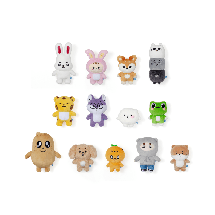 SEVENTEEN MINITEEN OFFICIAL MERCH MD (NEW MINITEEN COLLECTION)