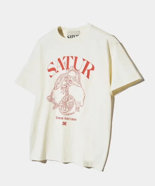 Seventeen Jeonghan and Gyu-young PIck Satur Capri Citron Drawing Summer Graphic Short Sleeve T-Shirt Resort