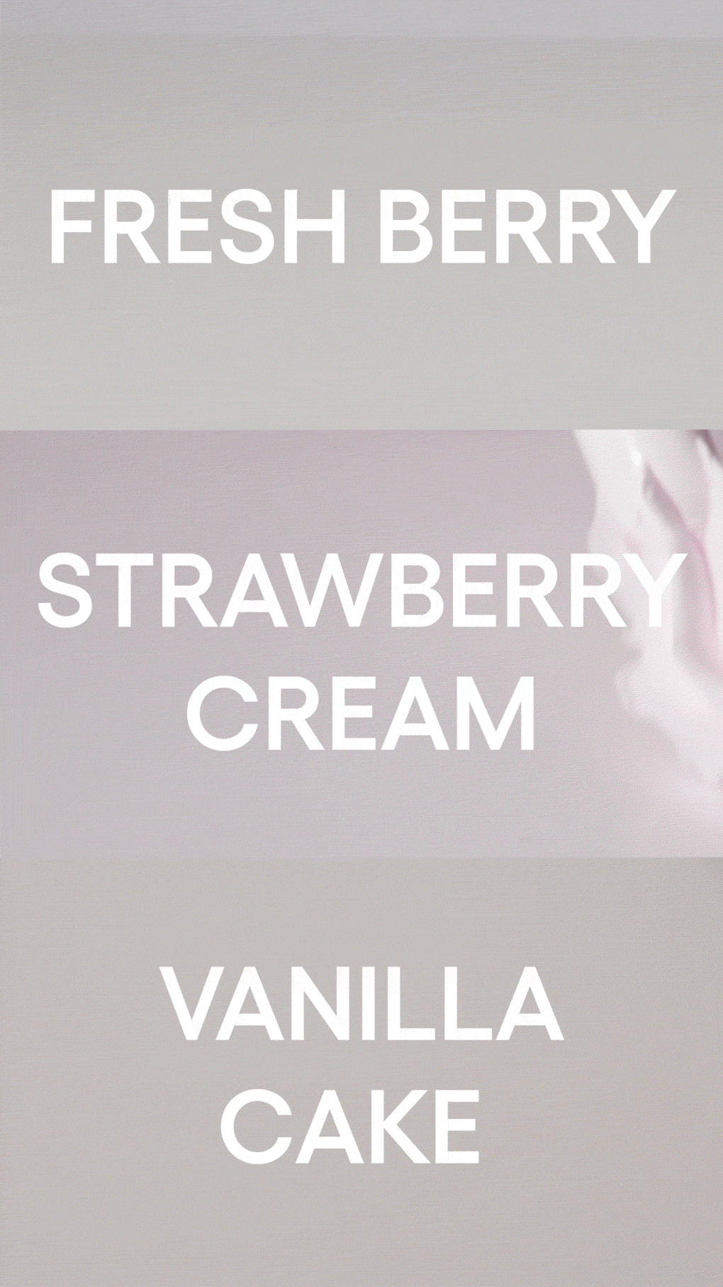 Laneige Lip Sleeping Mask Strawberry Shortcake (+ Spatula Holder)