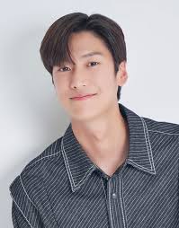 NA IN WOO - Official Fan Light stick