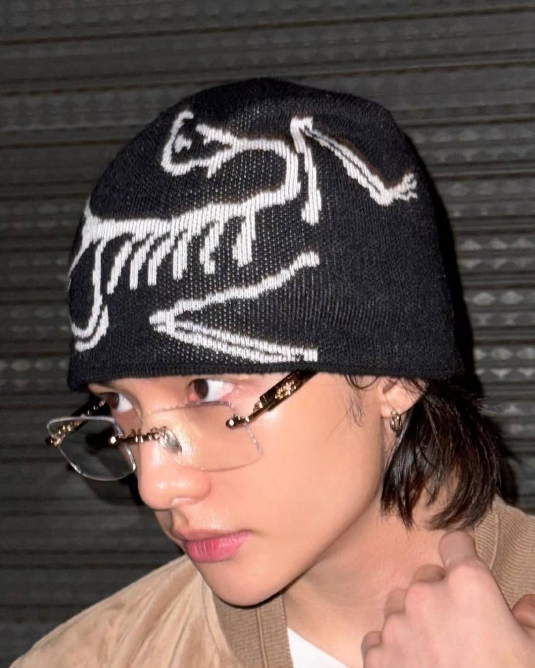 [Straykids Hyunjin Worn] Arc'teryx Bird Head Toque