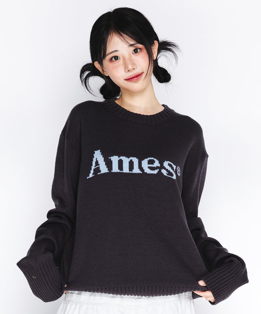 [Qwer Pick] 25FW Ames Basic Pullover Knit Charcoal