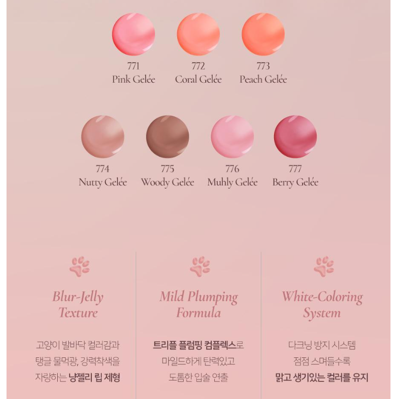 Dinto Blur Jelly Plumping Lip Tint 3.5g