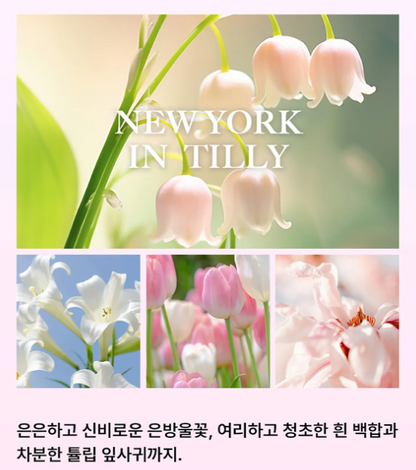 Bibiang Niche Perfume Hand Cream