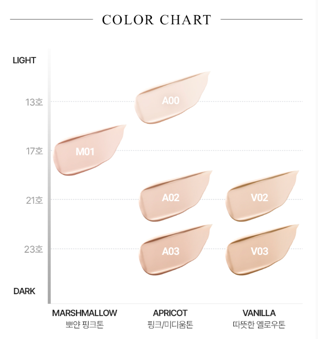 VDL Cover Stain Perfecting Cushion