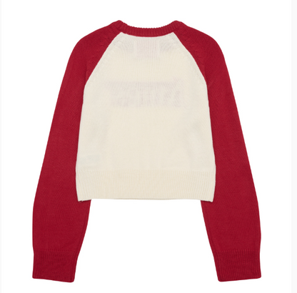 [Qwer Pick] 25FW Ames Basic Raglan Pullover Knit