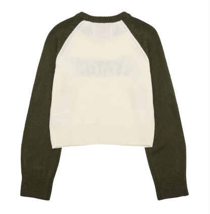 [Qwer Pick] 25FW Ames Basic Raglan Pullover Knit