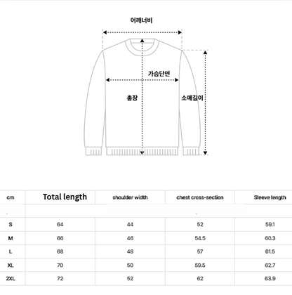 [Lee Do-hyun Pick] 25FW MS Minimal Ribbed Crew Neck Knit-Black
