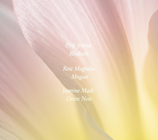 Forment  Cotton Delight Bouquet Signature Perfume 50ml