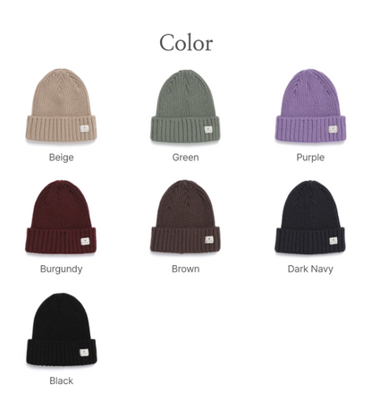 [Bts V Pick] Snow Peak Folded Beanie