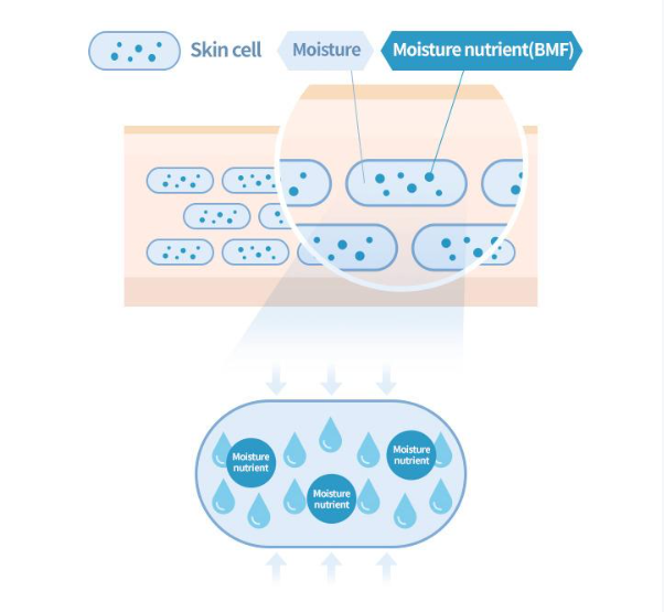 Aestura Atobarrier 365 Hydro Essence 200ml (+ Cream 10ml + Cera-Hyal Ampoule 10ml)