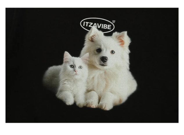 [Straykids BangChan Worn] Itzavibe Cat&Dog Friends T-Shirt