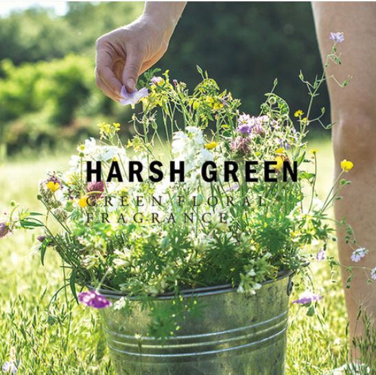 LOE Perfume Hand Wash 300ml