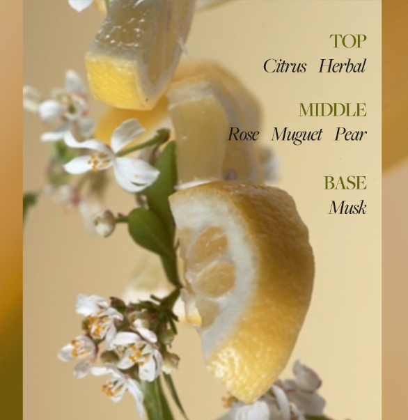 D'Alba Ritual Tangerine Perfume 30ml