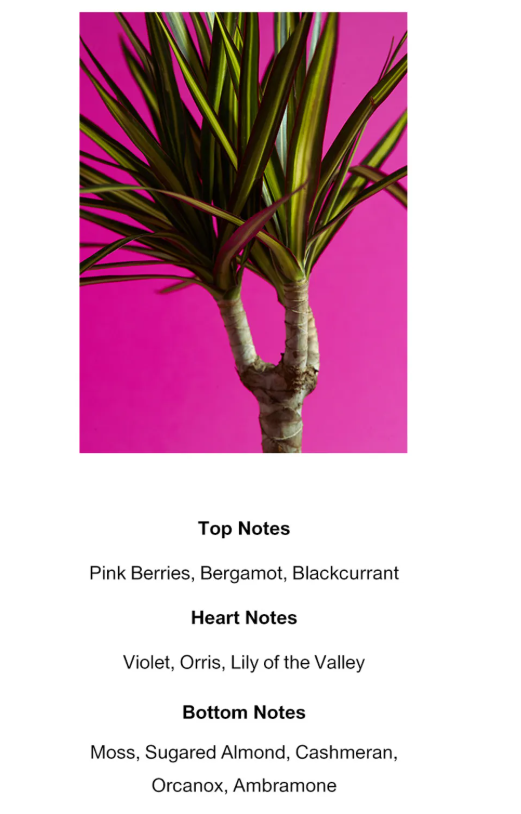 RBOW Amber Sanguine Eau de Parfum 30ml