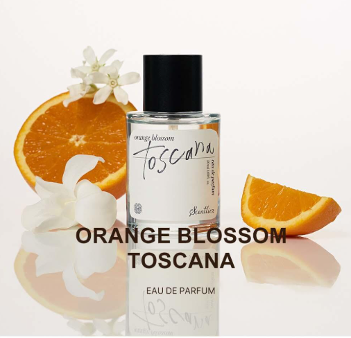 SCENTLIER Eau De Parfum 50ml