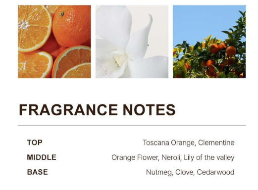 SCENTLIER Eau De Parfum 50ml