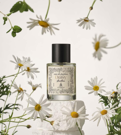 SCENTLIER Eau De Parfum 50ml