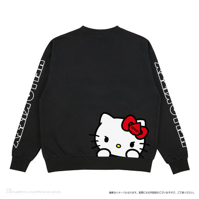 2NE1 X HELLO KITTY - Official Japan Merch