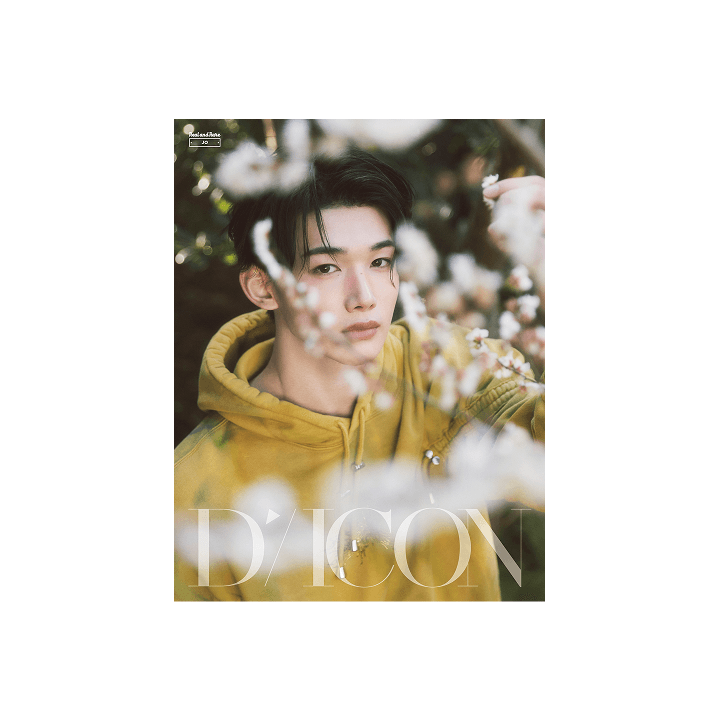 &TEAM - DICON Magazine VOLUME N°28 (Forever and Ever / Real and Rare)