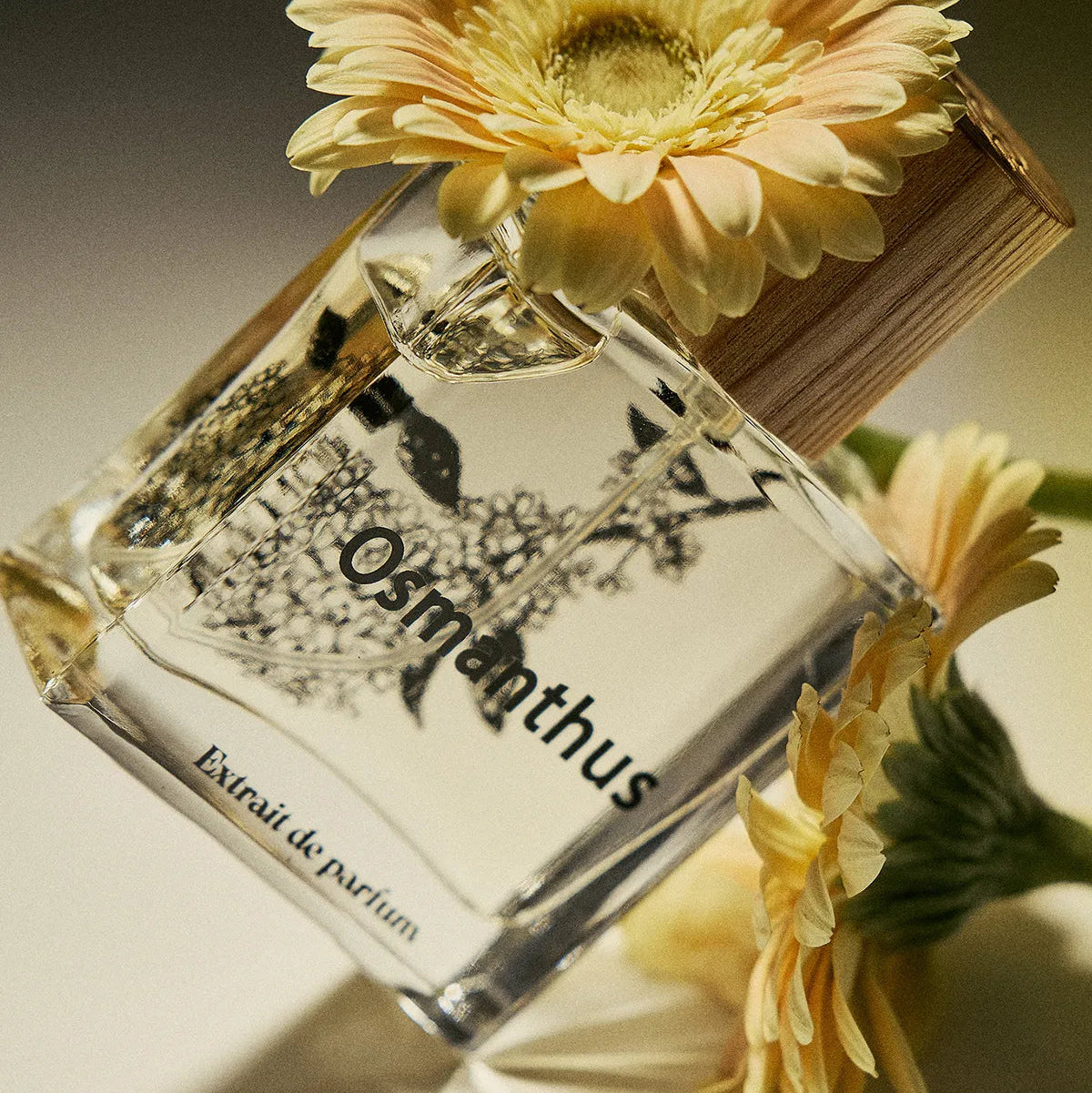 Sei li Osmanthus Extrait de Parfum 50mL [Oxalis Perfume]