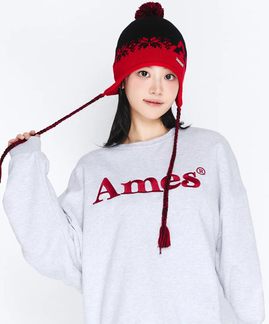 [Qwer Pick] 25FW Ames Basic Logo Sweatshirt