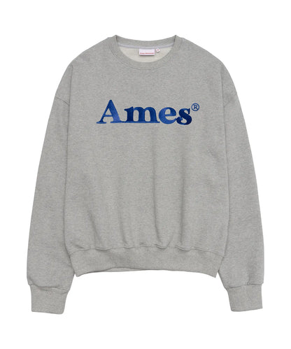 [Qwer Pick] 25FW Ames Basic Logo Sweatshirt