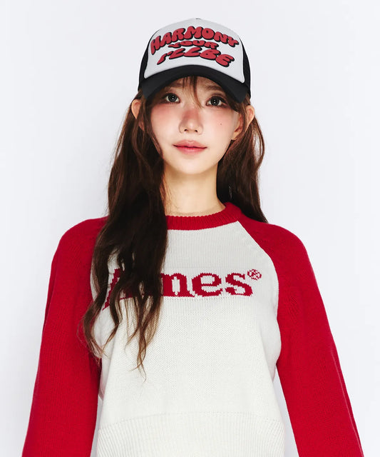 [Qwer Pick] 25FW Ames Basic Raglan Pullover Knit