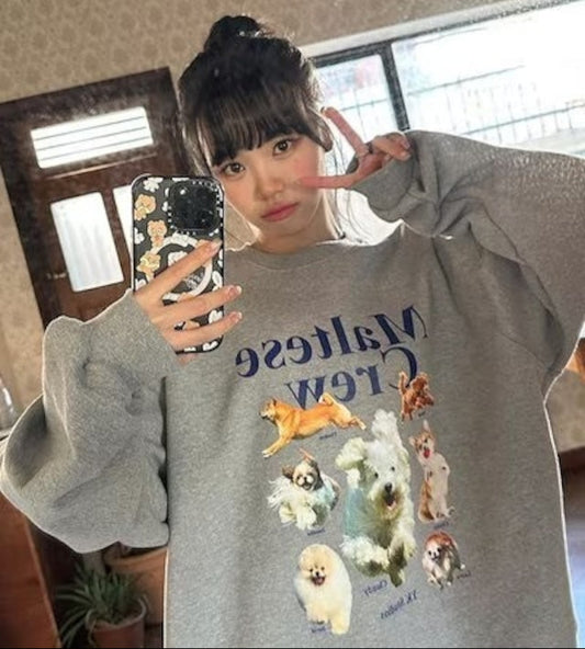 [Lesserafim Chaeyeon Worn] Wai Kei Maltese Crew Sweatshirts