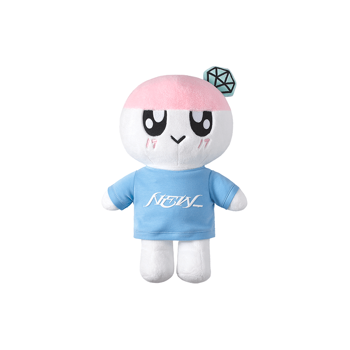 SEVENTEEN WORLD TOUR [NEW_] IN INCHEON Official Merch