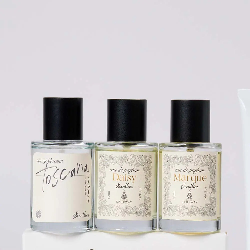 SCENTLIER Eau De Parfum 50ml