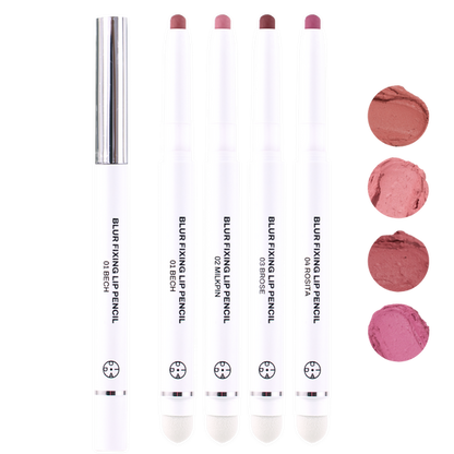 Earpearp X Oiad Blur Fixing Lip Pencil