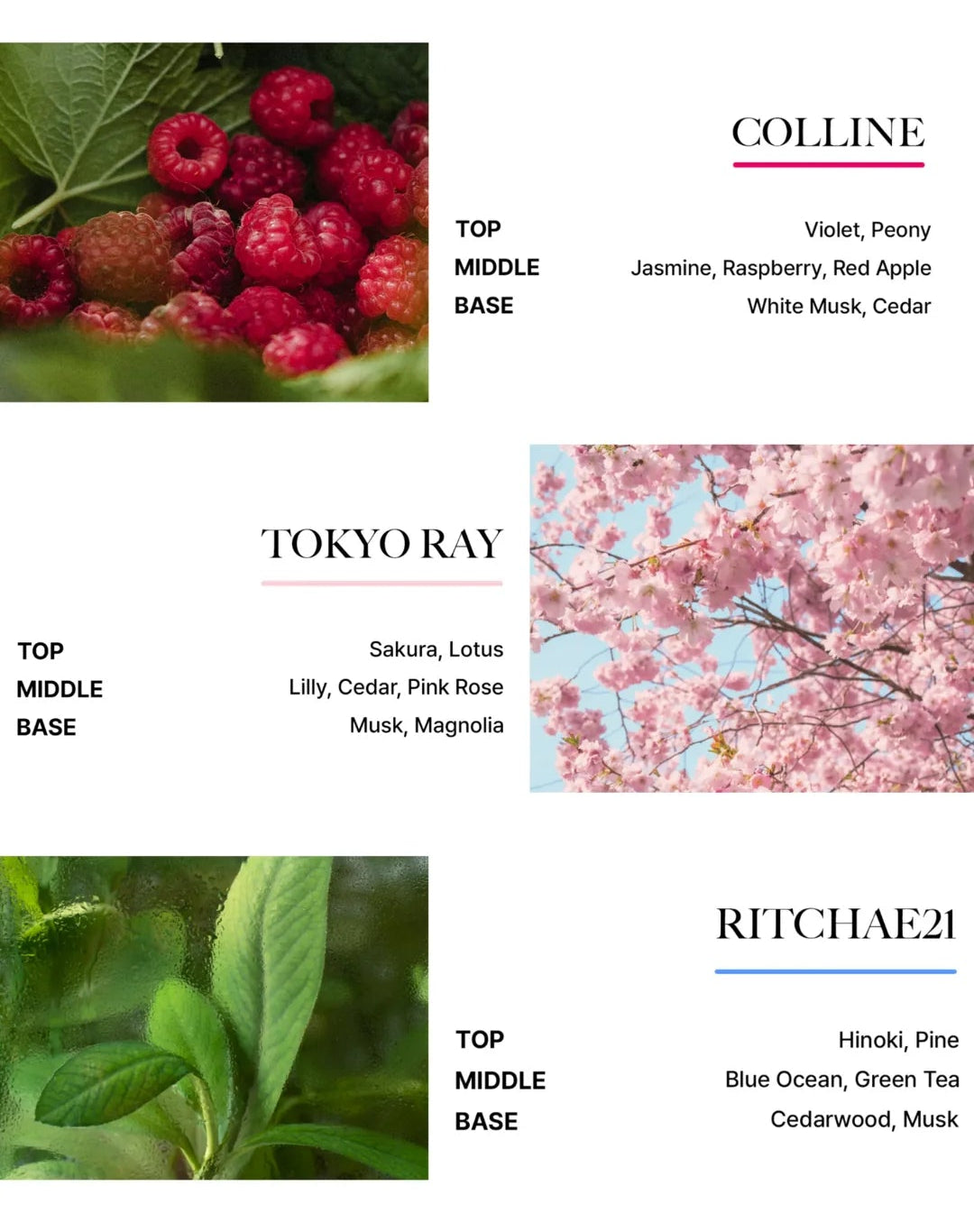 [BOYNEXTDOOR PICK] BiBiANG Eau de Parfum Discovery Set (2ml*6 types)