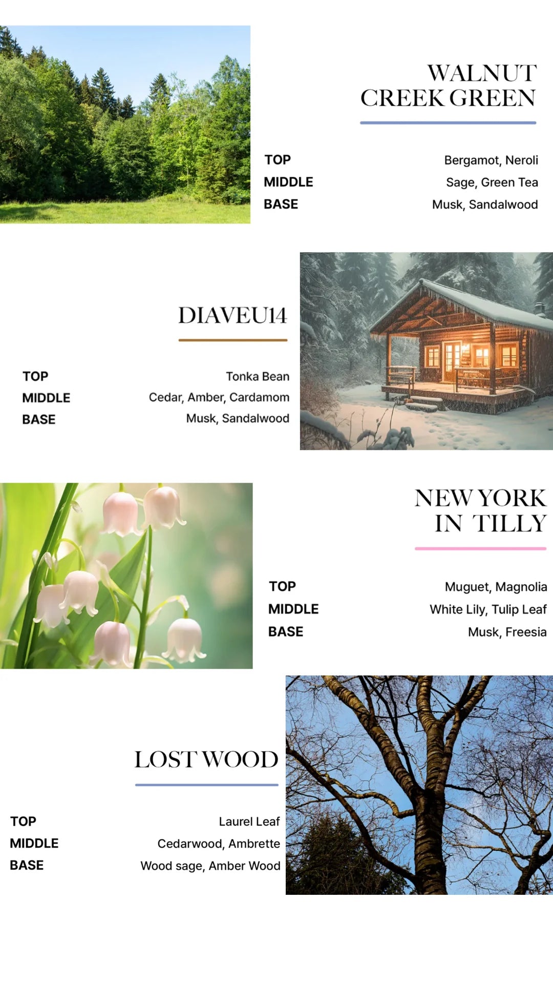 [BOYNEXTDOOR PICK] BiBiANG Eau de Parfum Discovery Set (2ml*6 types)