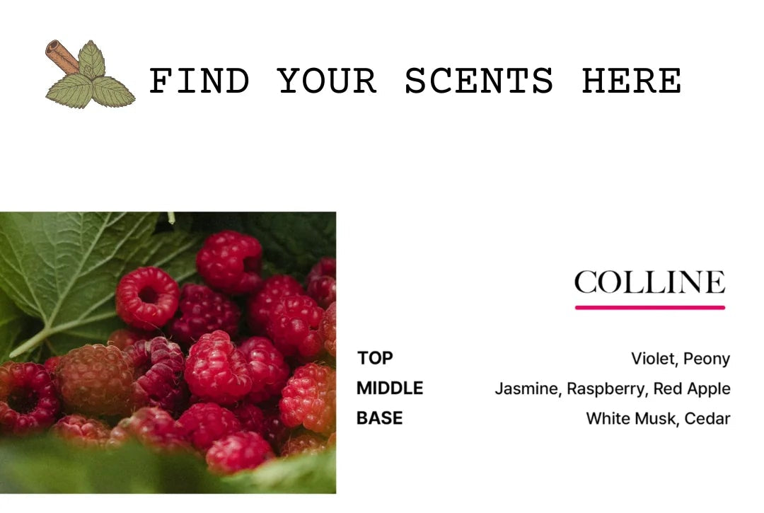 BiBiAng Perfume Hair Serum Mist