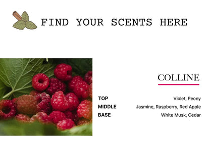 BiBiAng Perfume Hair Serum Mist