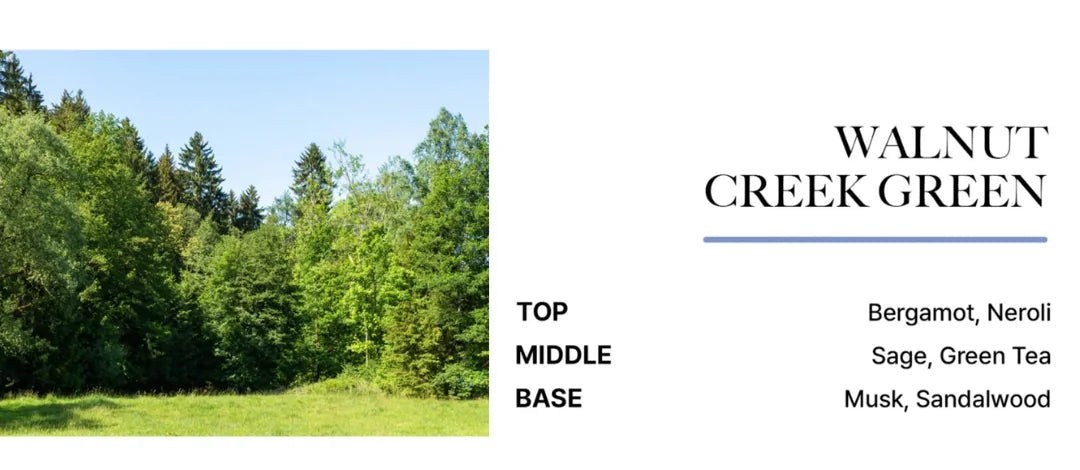 BiBiAng Perfume Hair Serum Mist