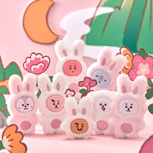 BTS [BT21 ]K-TOKKI Rabbits