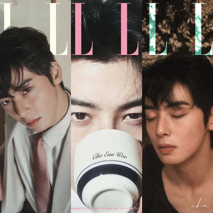 ELLE KOREA MAGAZINE FEBRUARY 2025 COVER : CHA EUN WOO