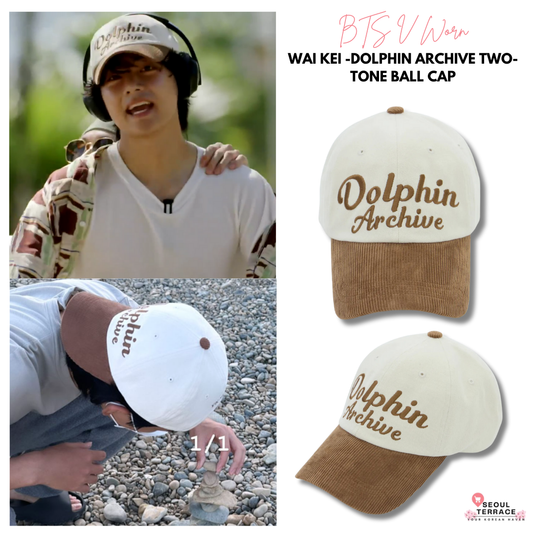 [BTS V Worn] Wai kei Dolphin Archive Two-Tone Ball Cap