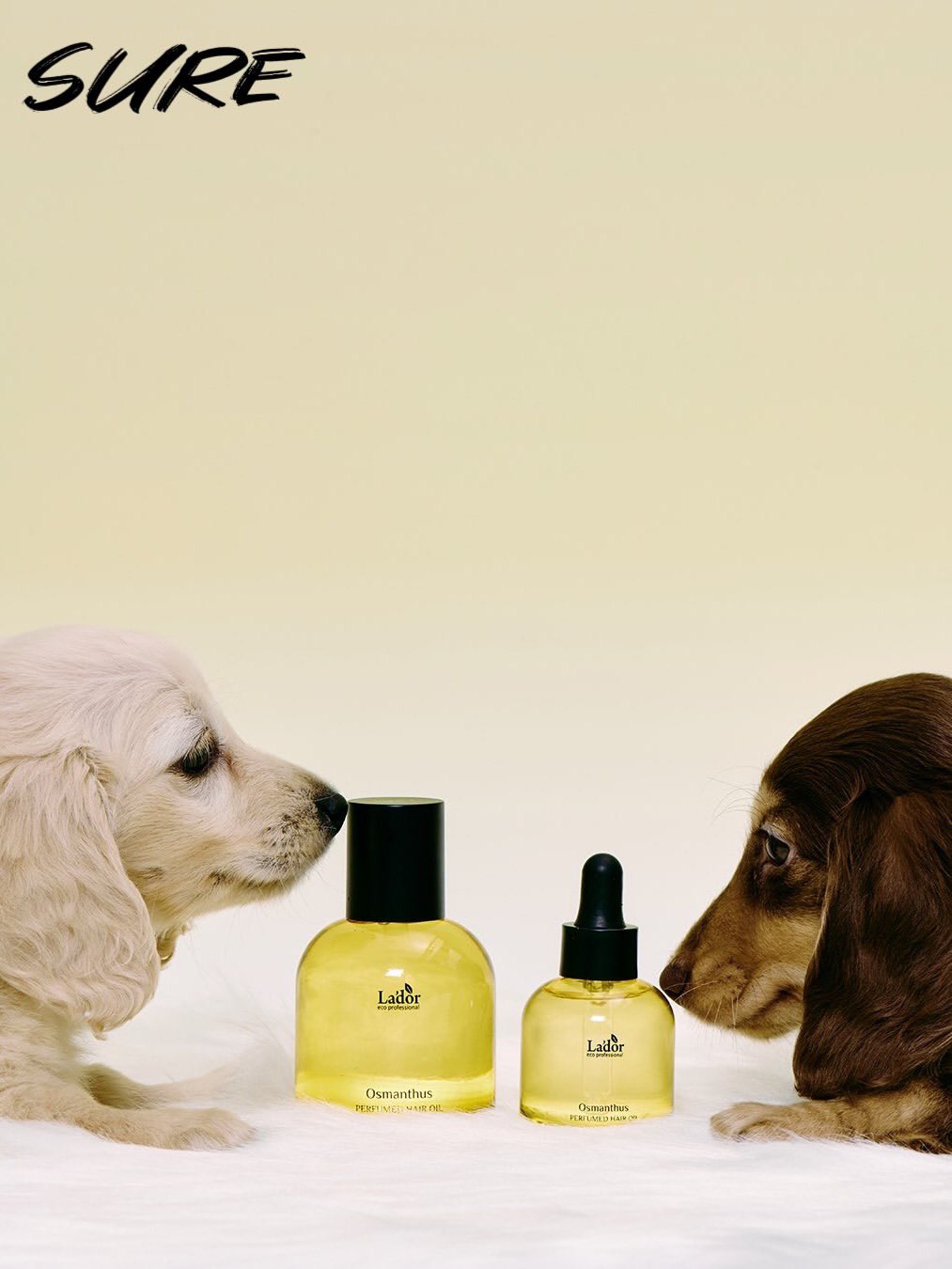 [Single Item] BTS Jimin X LADOR Perfumed Hair Oil