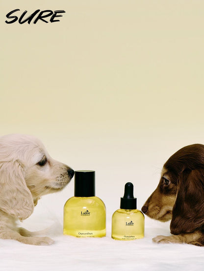 [Single Item] BTS Jimin X LADOR Perfumed Hair Oil