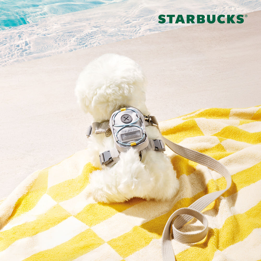 STARBUCKS KOREA - “YOUR SUMMER” 2026 Citrusy Summer Collection MD